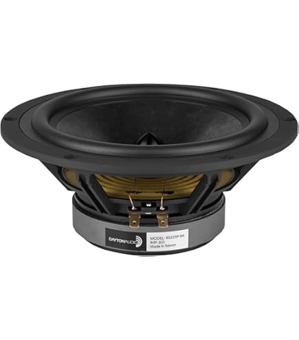 Amazon.com: Dayton Audio RS225-4 8